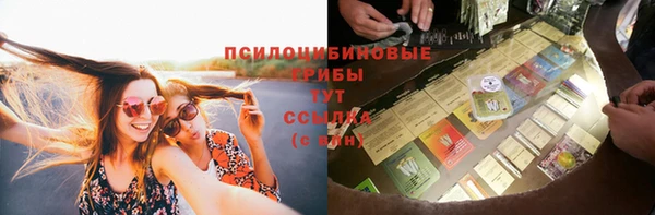 не бодяженный Медногорск