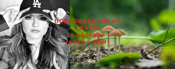 винт Медвежьегорск