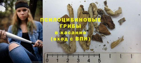 винт Медвежьегорск