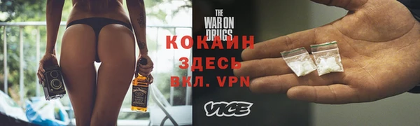 гашик Майский