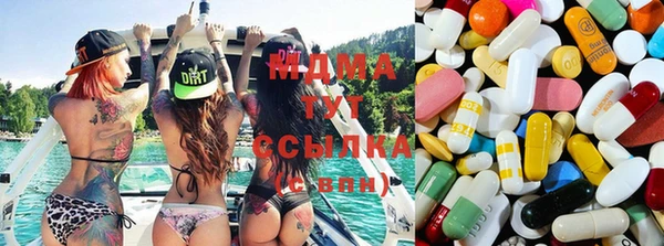 прущие грибы Магас