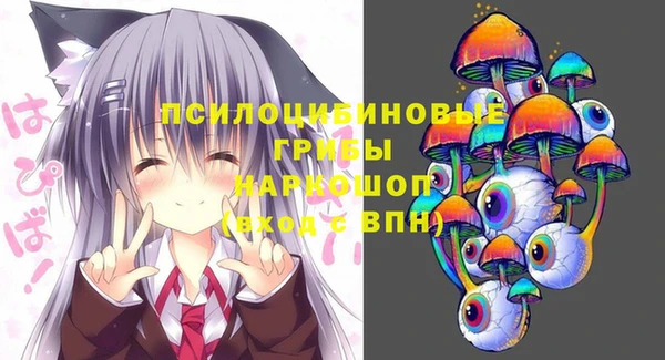 винт Медвежьегорск