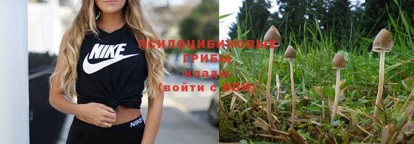 ALPHA PVP Мегион