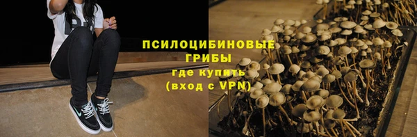 ALPHA PVP Мегион