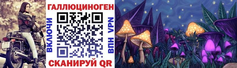 Псилоцибиновые грибы прущие грибы где найти Новоульяновск