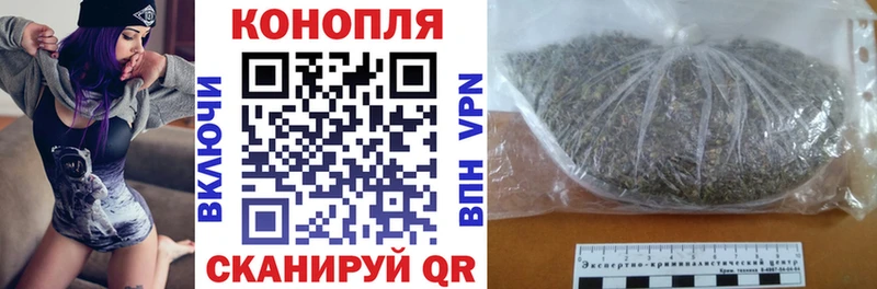 дарнет шоп  Новоульяновск  Конопля ГИДРОПОН 